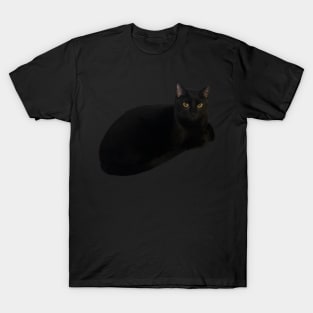 Black Cat Loaf T-Shirt